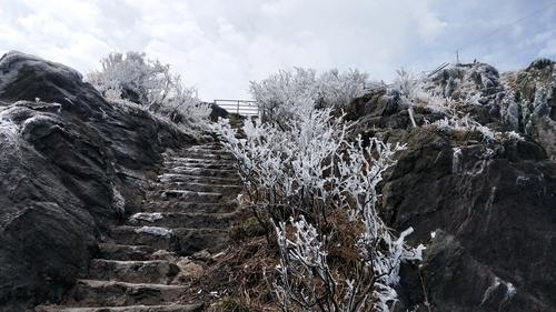 满山绽放冰凌花,3月8日连山金子山又结冰啦!