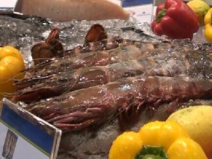國際食品食材展開幕 20國美食匯聚羊城