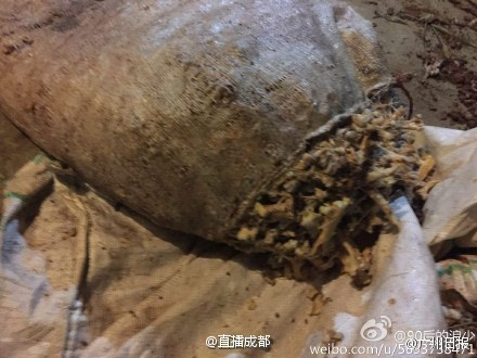 垃圾骨头