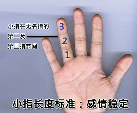 一只手掌有五只手指,分别是大拇指,食指,中指,无名指,小指,除了小指