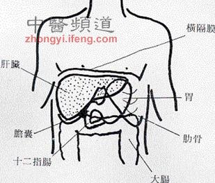 增强肝功能 常按摩肝区