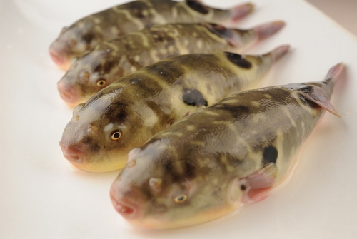 厨房中的有毒食品 10种常吃的有毒食物(图)