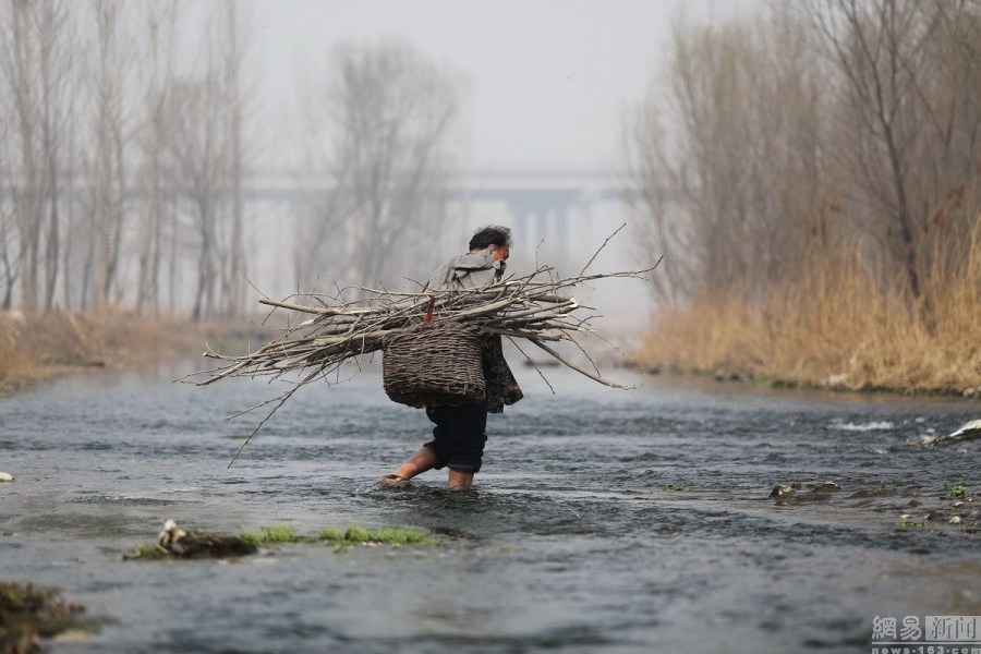 在贾海霞帮自己挽起裤腿之后,贾文其要先将栽种的树枝扛过河.