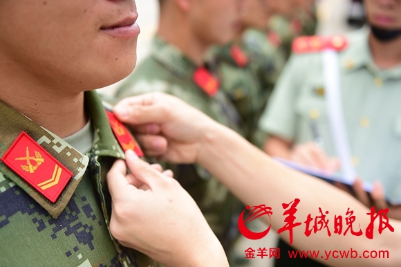 中国武警部队作训服统一换领章