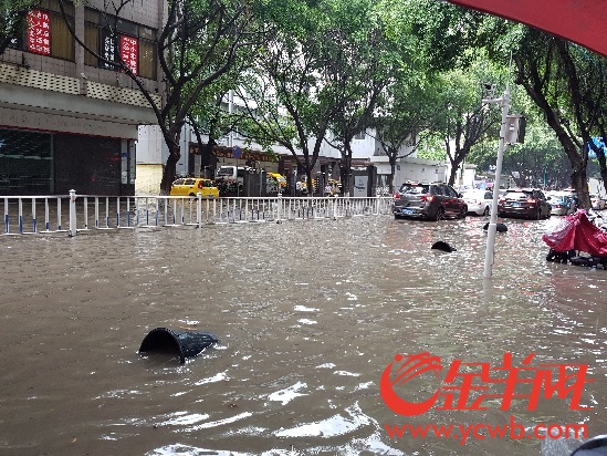 广州现特大暴雨 自北向南"横扫"各区