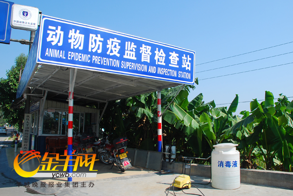 广州亚运无规定马属动物疫病区