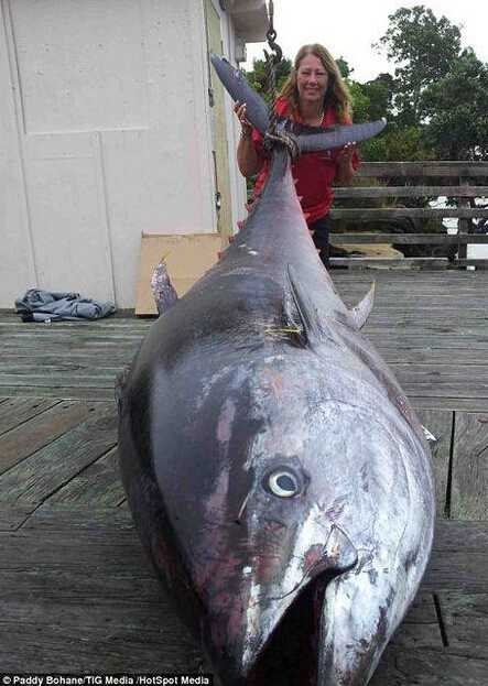 渔民捕获鱼中鱼 盘点人类捕获的"鱼王"们