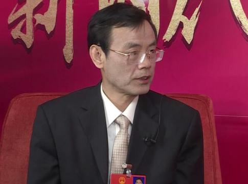 女性生育意愿不强?人大代表林勇:建议男性也休产假